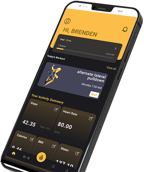 Salesman App Mockup